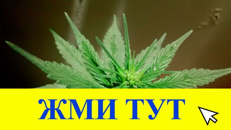 Купить наркотики в Туапсе